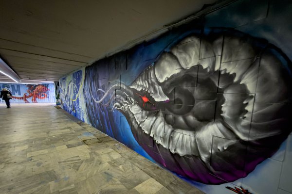 Димитър Кьосемарлиев, Dnes.bg